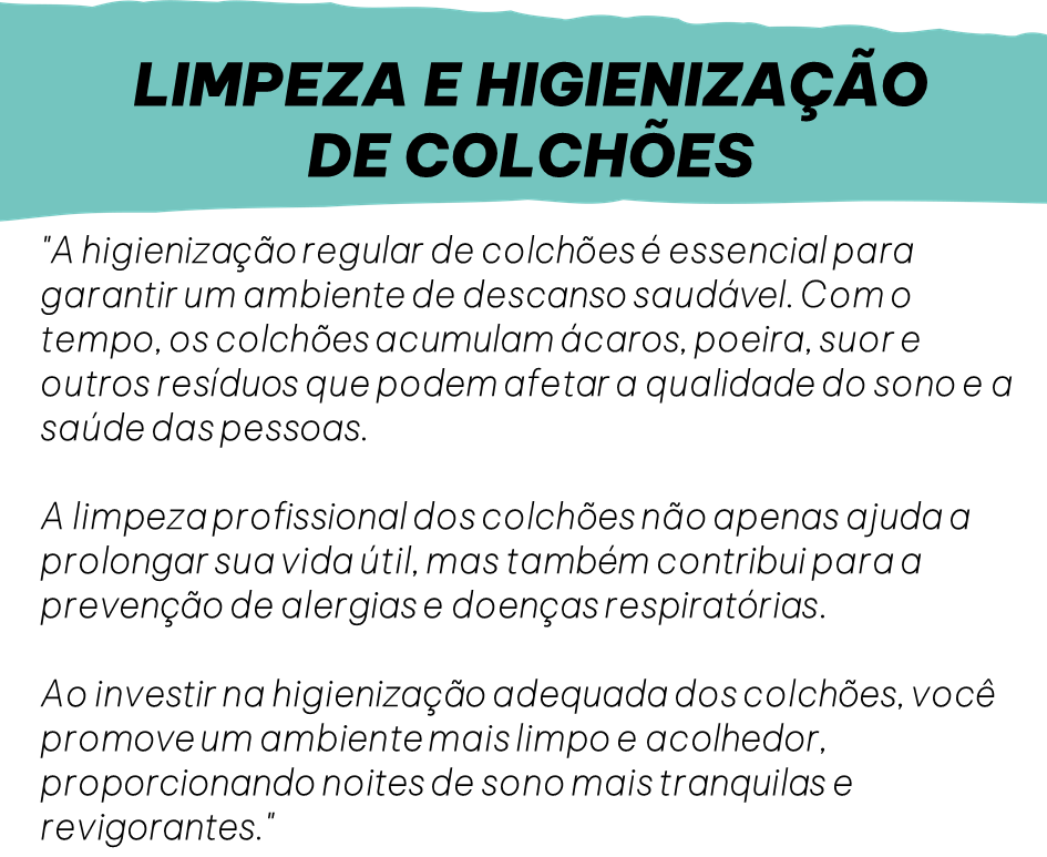 Higienização de estofados Belo Horizonte   (9).png